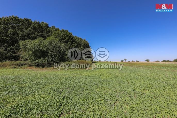 Prodej, Pole, Plzeň