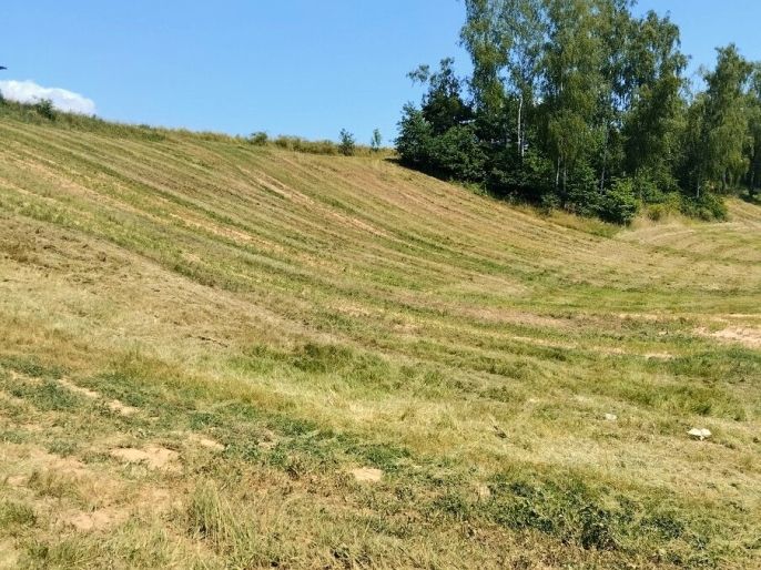 Prodej, Pozemek k bydlení, Svijanský Újezd