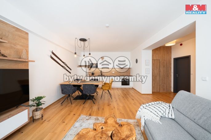 Prodej, Byt 2+kk, Vítkovice