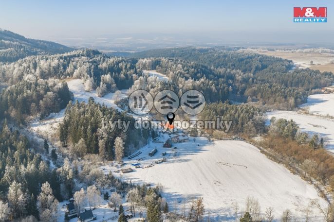 Prodej, Hotel, penzion, Benešov nad Černou