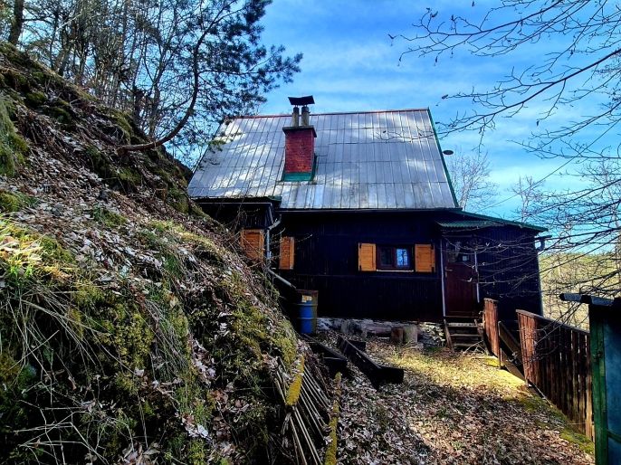 Prodej, Chata, Plešnice