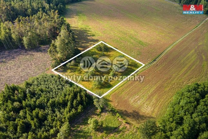 Prodej, Ovocný sad, Morašice