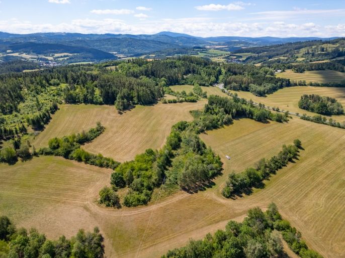 Prodej, Louka, Nišovice