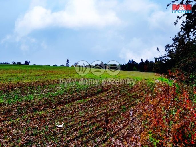 Prodej, Provozní plocha, Županovice