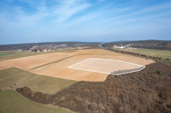 Prodej, Pole, Starý Plzenec