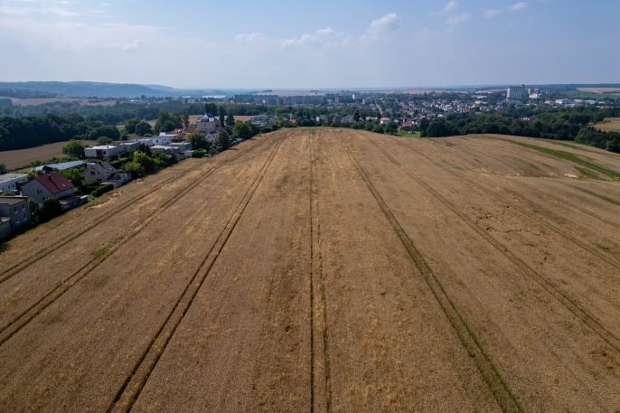 Prodej, Pole, Hlučín