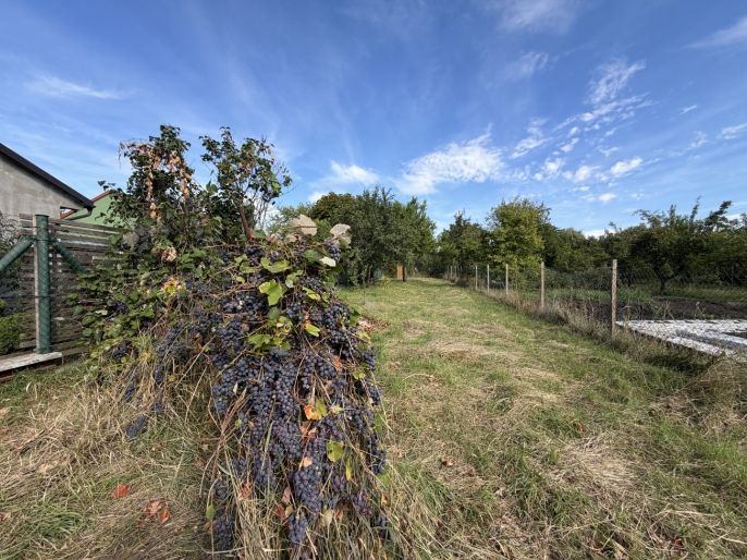 Prodej, Zahrada, Němčice nad Hanou