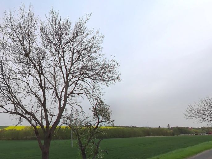 Prodej, Pole, Tuřany