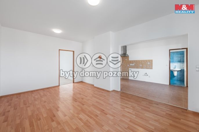 Prodej, Byt 3+1, Srby