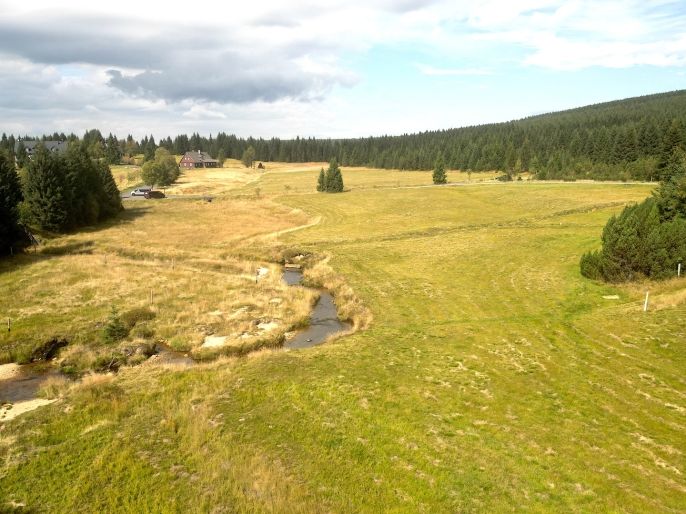 Prodej, Pastvina, Kořenov