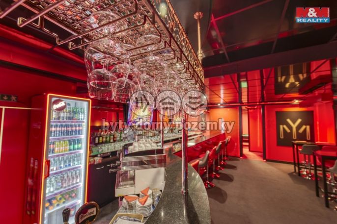 Pronájem, Obchod a služby, Plzeň