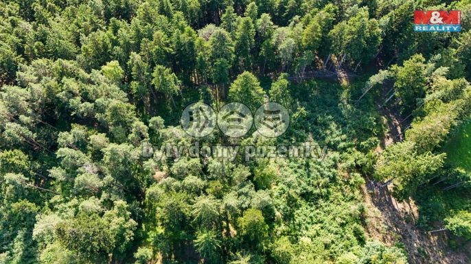 Prodej, Les, Petrovice u Sušice