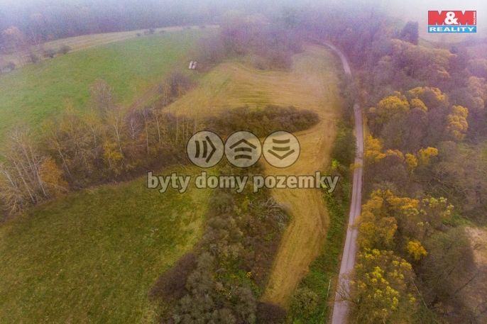 Prodej, Pastvina, Hajnice