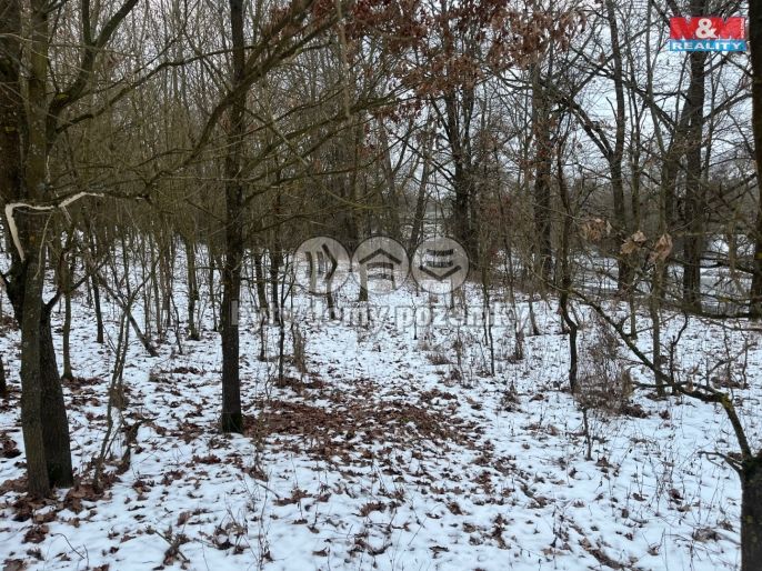 Prodej, Pole, Písek