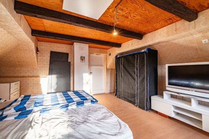 Pronájem, Rodinný dům, Šindelová