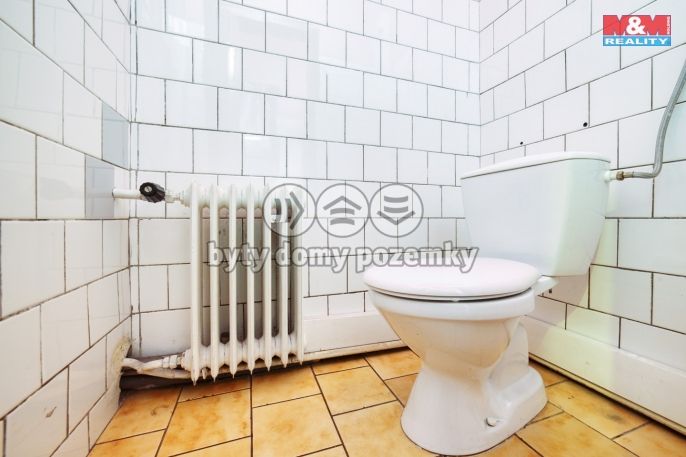 Prodej, Hotel, penzion, Dolní Žandov