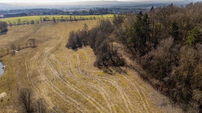 Prodej, Louka, Vlastibořice