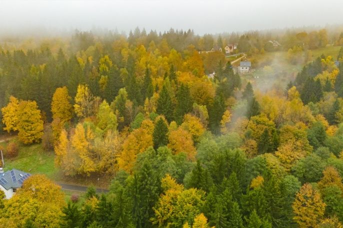 Prodej, Ostatní, Nová Ves nad Nisou