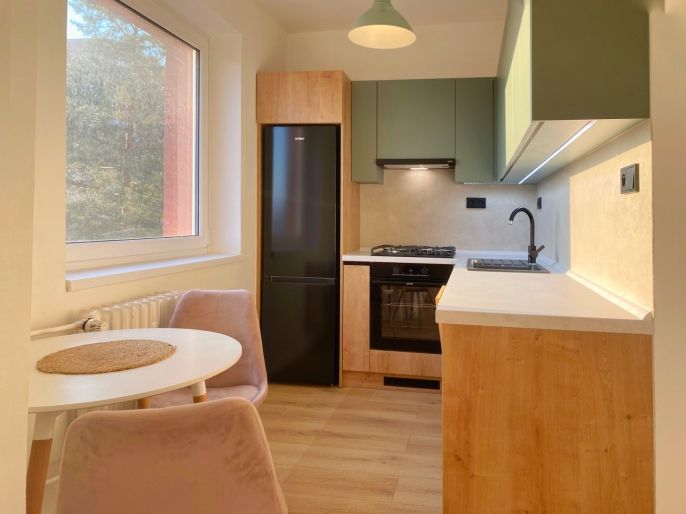 Pronájem, Byt 1+kk, Nový Jičín