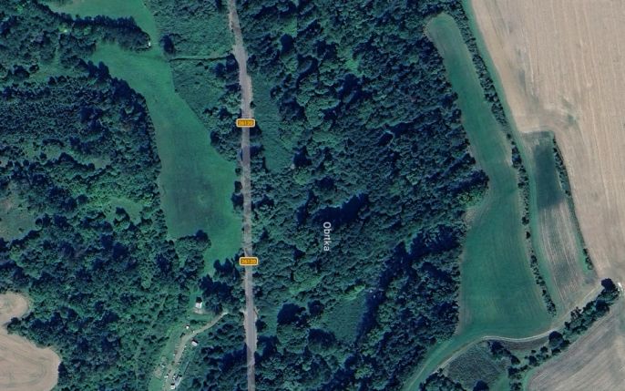 Prodej, Les, Snědovice