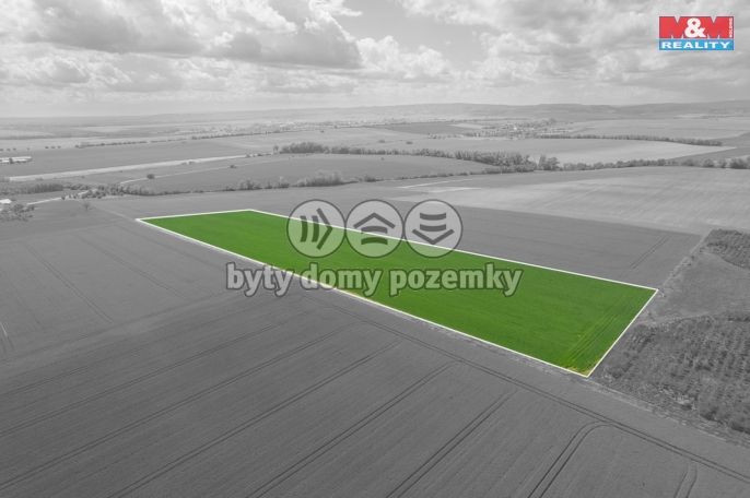 Prodej, Pole, Šumice