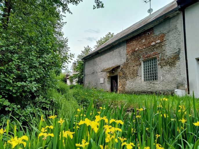 Prodej, Výrobní objekt, Žlutice