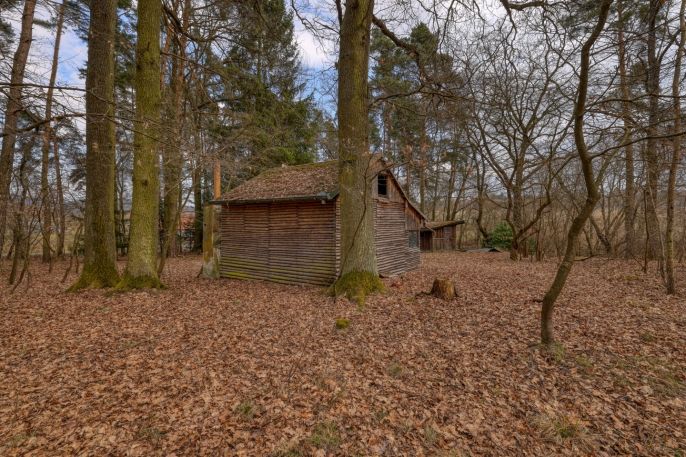 Prodej, Zahrada, Dolany