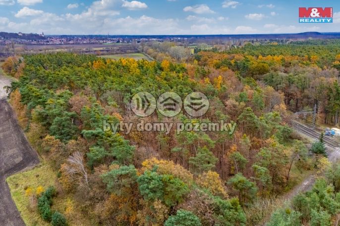 Prodej, Les, Lysá nad Labem