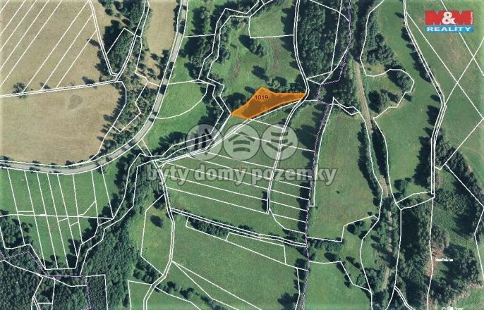 Prodej, Louka, Bernartice