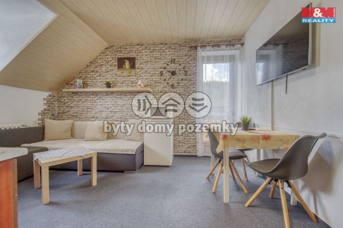 Prodej, Hotel, penzion, Železná Ruda