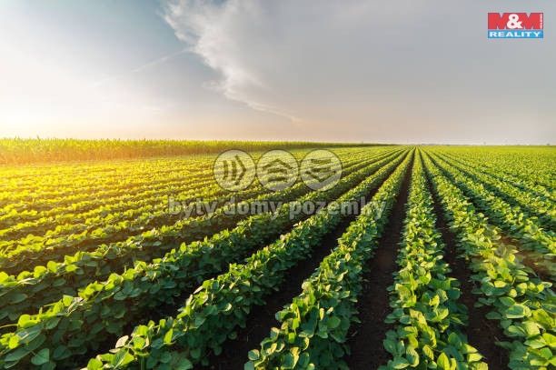 Prodej, Louka, Příbram