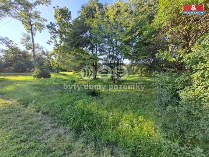 Prodej, Zahrada, Město Albrechtice