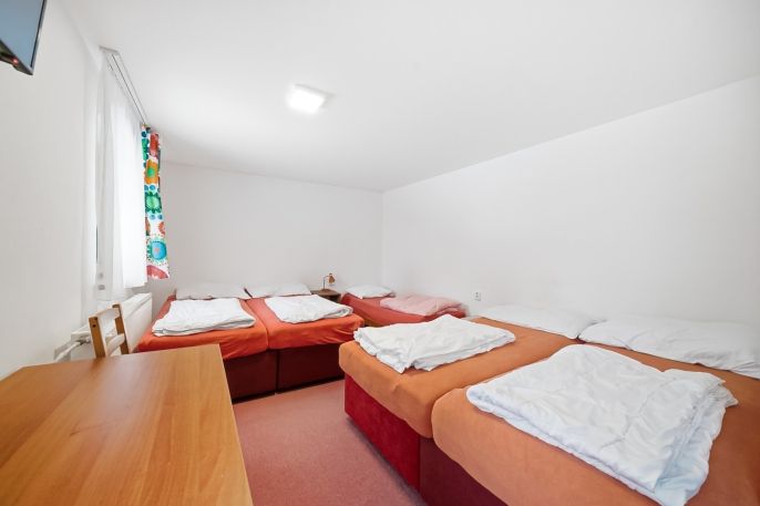 Prodej, Hotel, penzion, Čenkovice