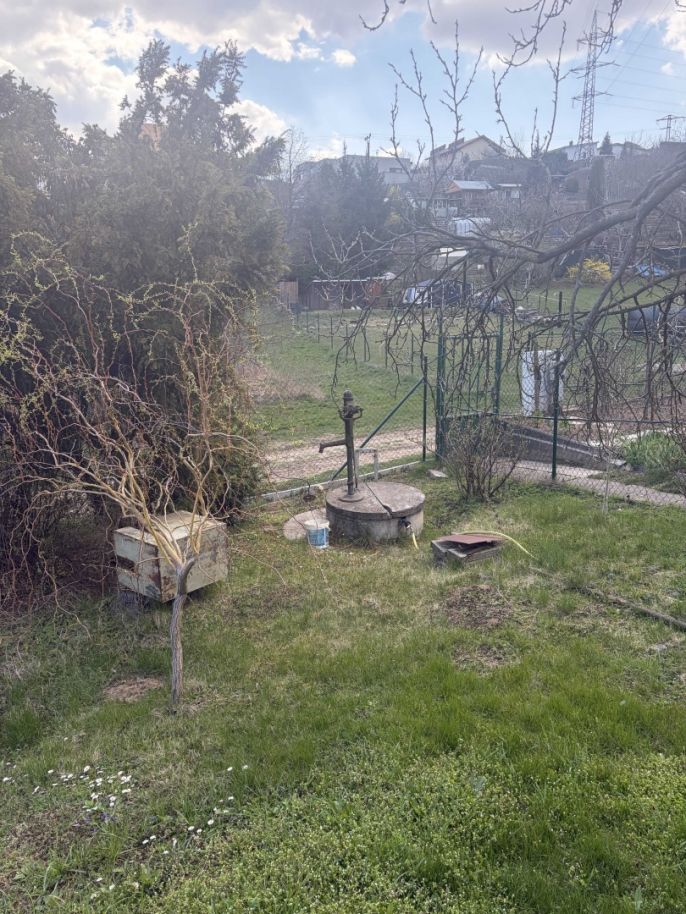 Prodej, Zahrada, Brno