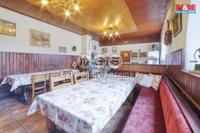 Prodej, Hotel, penzion, Dolní Žandov