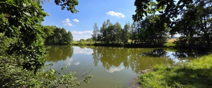Prodej, Vodní plocha, Slezské Rudoltice