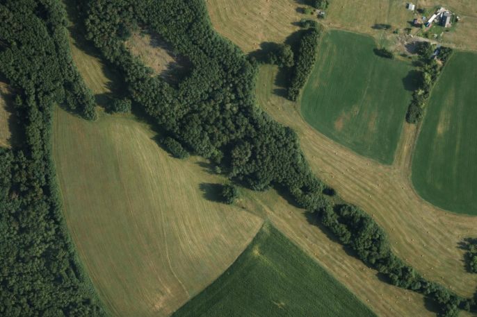 Prodej, Vodní plocha, Nový Bor