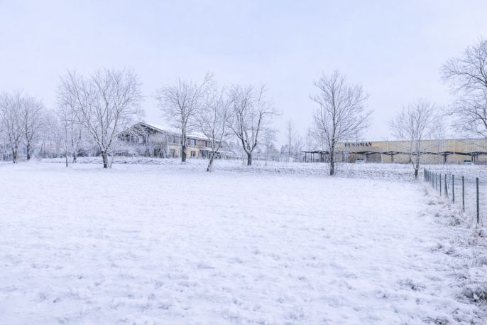 Prodej, Zahrada, Nespeky