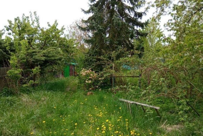 Prodej, Pozemek k bydlení, Mezina
