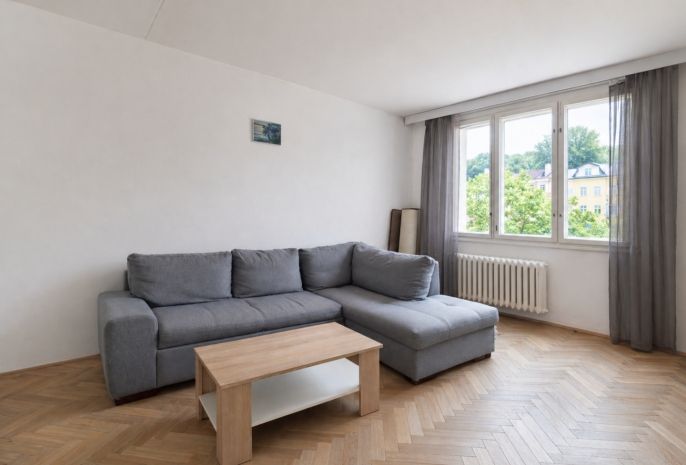 Pronájem, Byt 1+1, Luby