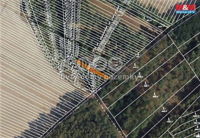 Prodej, Les, Skoronice