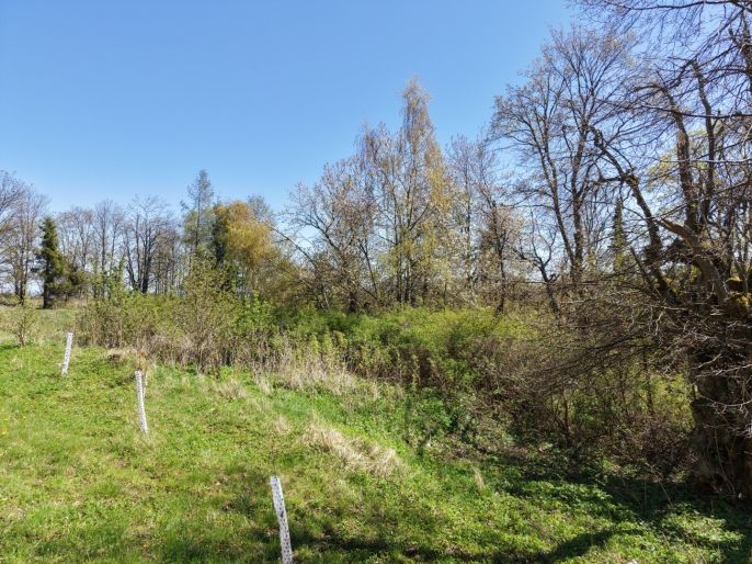 Prodej, Ostatní, Výsluní