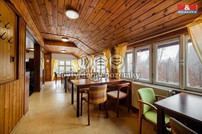 Prodej, Hotel, penzion, Bartošovice v Orlických horách