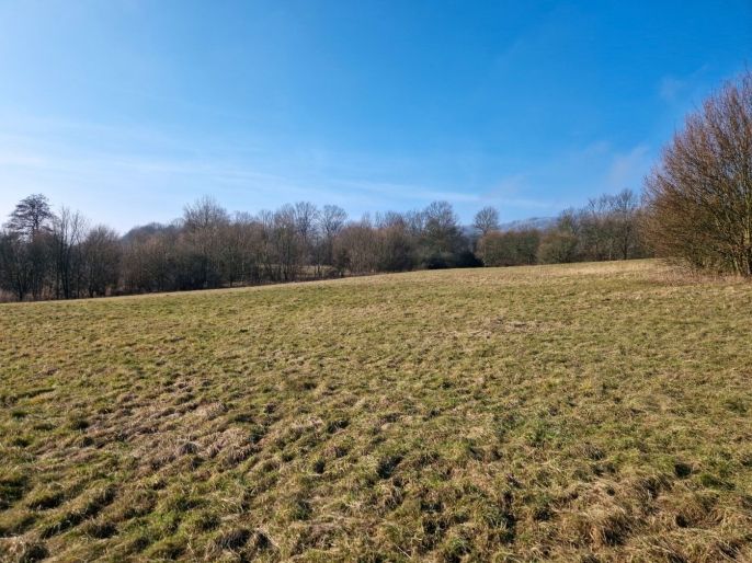 Prodej, Louka, Kozly