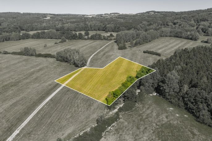 Prodej, Louka, Louňová