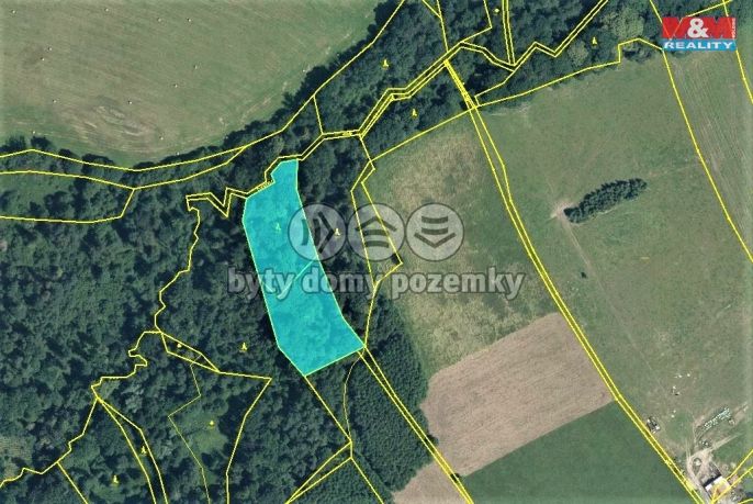 Prodej, Les, Český Těšín