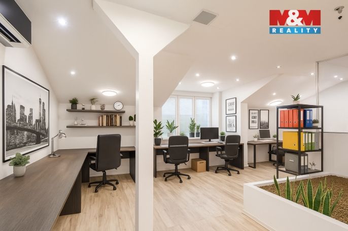 Prodej, Obchodní objekt, Ostrava