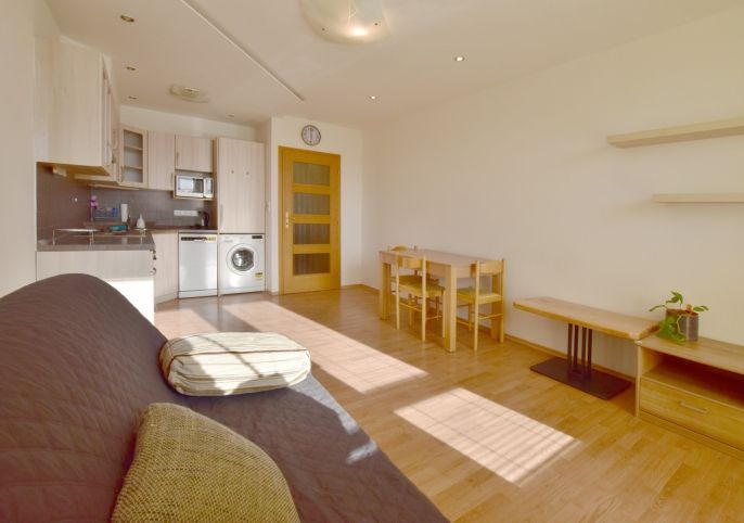 Pronájem, Byt 1+kk, Hradec Králové