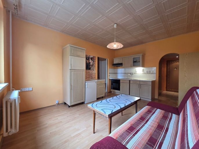 Pronájem, Byt 1+1, Nová Role