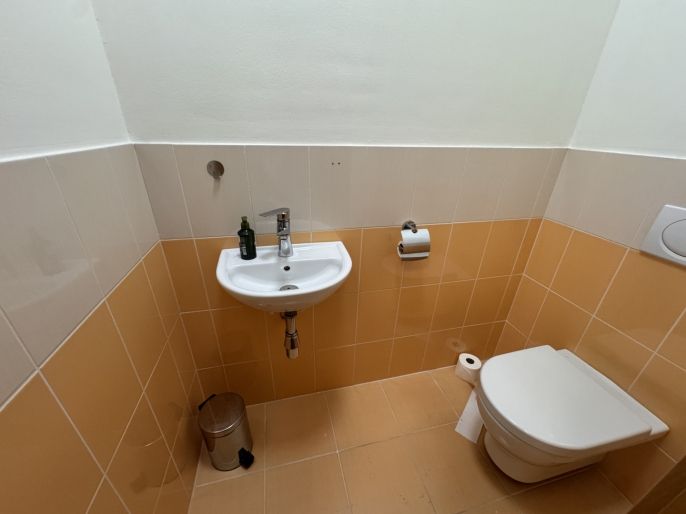 Pronájem, Byt 3+kk, Ostrava